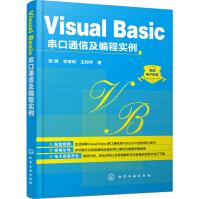 《VisualBasic串口通信及编程实例》[49M]百度网盘|pdf下载|亲测有效