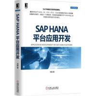 《SAPHANA平台应用开发》[64M]百度网盘|pdf下载|亲测有效