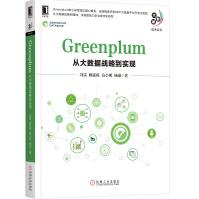 《Greenplum：从大数据战略到实现》[53M]百度网盘|pdf下载|亲测有效