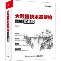 《大数据技术及架构图解实战派》[74M]百度网盘|pdf下载|亲测有效