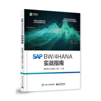 《SAPBW》[62M]百度网盘|pdf下载|亲测有效