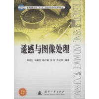 《遥感与图像处理》[58M]百度网盘|pdf下载|亲测有效