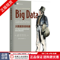 《大数据系统构建：可扩展实时数据系统构建原理与最佳实践》[83M]百度网盘|pdf下载|亲测有效