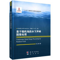 《基于随机场的水下声呐图像处理》[48M]百度网盘|pdf下载|亲测有效