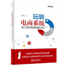 《玩转电商系统:深入剖析智慧电商平台》[48M]百度网盘|亲测有效|pdf下载