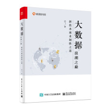 《大数据浪潮之巅：新技术商业制胜之道》[30M]百度网盘|亲测有效|pdf下载