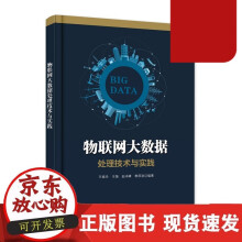 《物联网大数据处理技术与实践物联网大数据存储云计算环境下物联网大数据管理与应用物联网大数据管理与应用的Delou》[45M]百度网盘|亲测有效|pdf下载