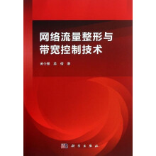 《网络流量整形与带宽控制技术》[20M]百度网盘|亲测有效|pdf下载