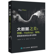 《大数据之美：挖掘、Hadoop、架构，更精准地发现业务与营销》[57M]百度网盘|亲测有效|pdf下载