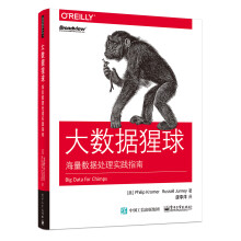 《大数据猩球：海量数据处理实践指南》[48M]百度网盘|亲测有效|pdf下载