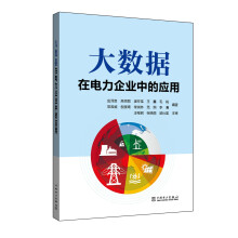 《大数据在电力企业中的应用》[20M]百度网盘|亲测有效|pdf下载