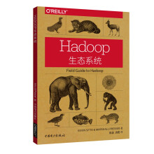 《Hadoop生态系统》[24M]百度网盘|亲测有效|pdf下载
