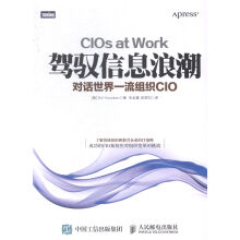 《驾驭信息浪潮-对话组织CIO书籍计算机与互联网IT人文互联网》[53M]百度网盘|亲测有效|pdf下载