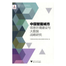 《中国智能城市信息环境建设与大数据战略研究计算机与互联网中国智能城市建设与推进战略研究项目组编浙》[29M]百度网盘|亲测有效|pdf下载