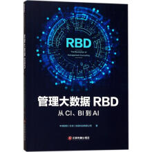 《管理大数据RBD》[47M]百度网盘|亲测有效|pdf下载