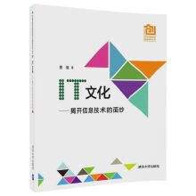 《中国高校创意创新创业教育系列丛书·IT文化：揭开信息技术的面纱》[42M]百度网盘|亲测有效|pdf下载