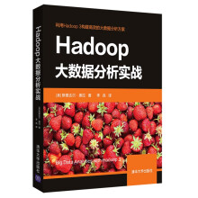 《Hadoop大数据分析实战》[43M]百度网盘|亲测有效|pdf下载