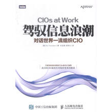 《驾驭信息浪潮-对话组织CIO计算机与互联网企业经营管理现代化管理青年》[20M]百度网盘|亲测有效|pdf下载