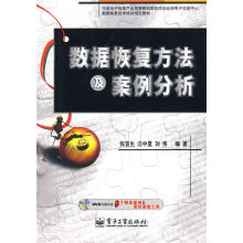 《数据恢复方法及案例分析张京生,汪中夏,刘伟　编著》[44M]百度网盘|亲测有效|pdf下载