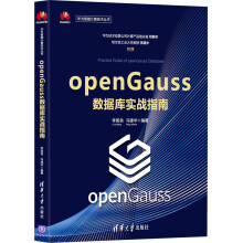 《openGauss数据库实战指南李国良,冯建华编书籍》[33M]百度网盘|亲测有效|pdf下载