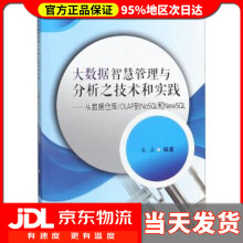 《大数据智慧管理与分析之技术和实践：从数据仓库\OLAP到NoSQL和NewSQL朱焱》[21M]百度网盘|亲测有效|pdf下载