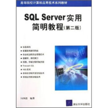 《Server实用简明教程闪四清编》[52M]百度网盘|亲测有效|pdf下载