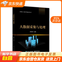 《大数据采集与处理张雪萍著籍》[40M]百度网盘|亲测有效|pdf下载