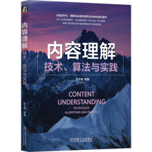 《内容理解：技术、算法与实践》[38M]百度网盘|亲测有效|pdf下载