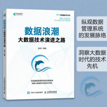 《数据浪潮：大数据技术演进之路数据管理系统发展数据时代书籍吴垚著异步出品》[25M]百度网盘|亲测有效|pdf下载