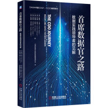 《首席数据官之路——数据实践领导者的见解》[58M]百度网盘|亲测有效|pdf下载