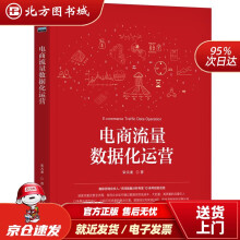 《电商流量数据化运营宋天龙北方城》[51M]百度网盘|亲测有效|pdf下载