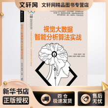 《视觉大数据智能分析算法实战刘衍琦,曲海洋编书籍》[35M]百度网盘|亲测有效|pdf下载