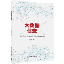 《大数据侦查王燃书籍》[57M]百度网盘|亲测有效|pdf下载