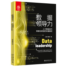 《数据领导力：人工智能时代数据化转型的关键路径》[26M]百度网盘|亲测有效|pdf下载