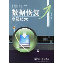 《数据恢复高级技术》[20M]百度网盘|亲测有效|pdf下载
