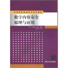 《高等院校信息技术规划教材：数字内容安全原理与应用》[38M]百度网盘|亲测有效|pdf下载