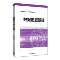 《数据挖掘基础/大数据应用人才培养系列教材》[45M]百度网盘|亲测有效|pdf下载