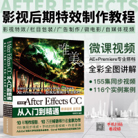 《ae教程 After Effects CC 2019从入门到精通书籍Ae premiere影视后期》[37M]百度网盘|亲测有效|pdf下载