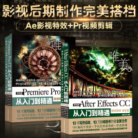 《ae教程书籍 Premiere ProCC从入门到精通+After Effects CC pr教材书》[54M]百度网盘|亲测有效|pdf下载