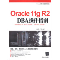 《Oracle 11g R2 DBA操作指南》[49M]百度网盘|亲测有效|pdf下载