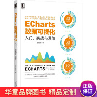 《ECharts数据可视化:入门、实战与进阶王大伟》[50M]百度网盘|亲测有效|pdf下载